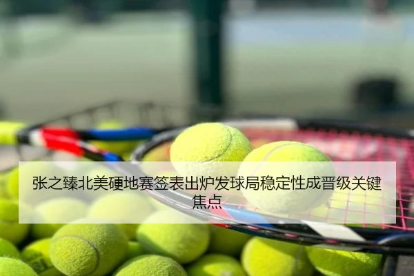 张之臻北美硬地赛签表出炉发球局稳定性成晋级关键焦点